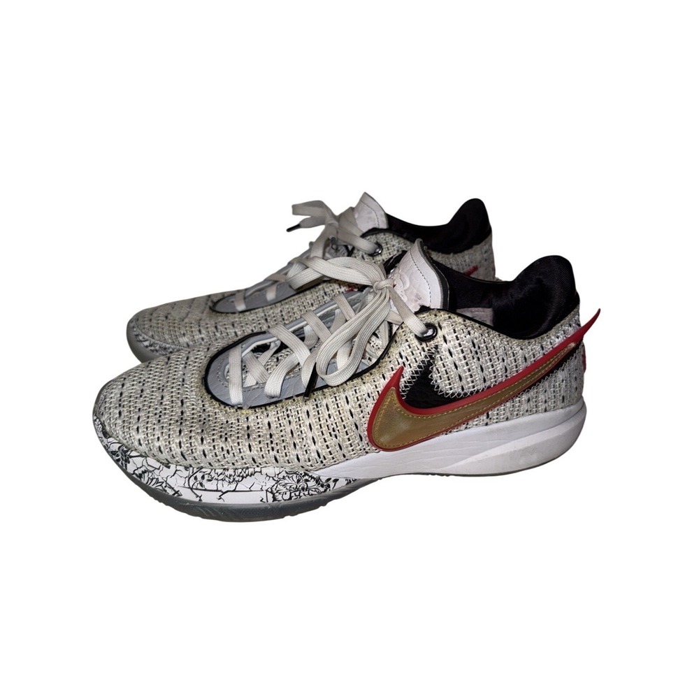 Nike LeBron 20 The Debut 2022 Size 8.5